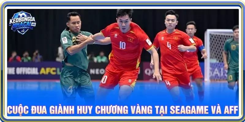 Cuộc đua giành huy chương vàng tại Seagame và aff