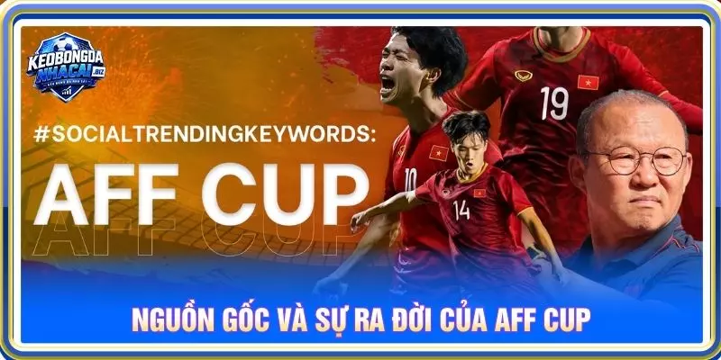 Nguồn gốc và sự ra đời của AFF Cup