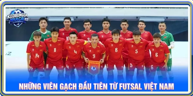 Những viên gạch đầu tiên từ Futsal Việt nam