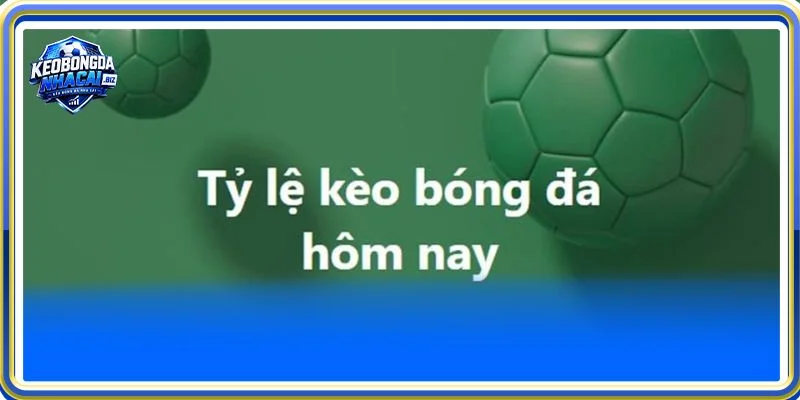 Bạn có thể cập nhật kèo phạt góc trực tuyến hôm nay chuẩn xác tại và keobongdanhacai.biz