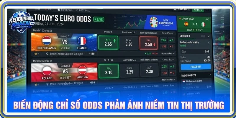 Biến động chỉ số Odds phản ánh niềm tin thị trường