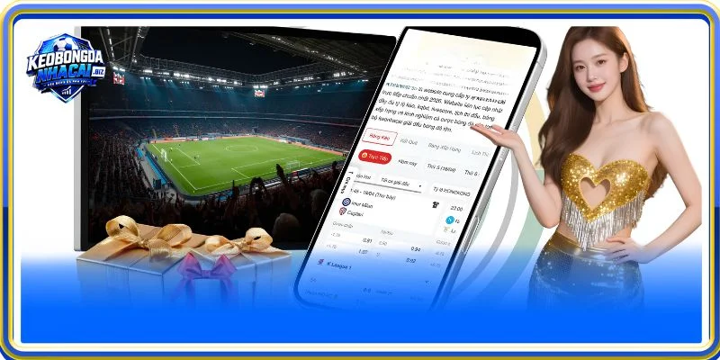 Bỏ túi cách sử dụng để bạn luôn mạnh dạn đưa ra lựa chọn