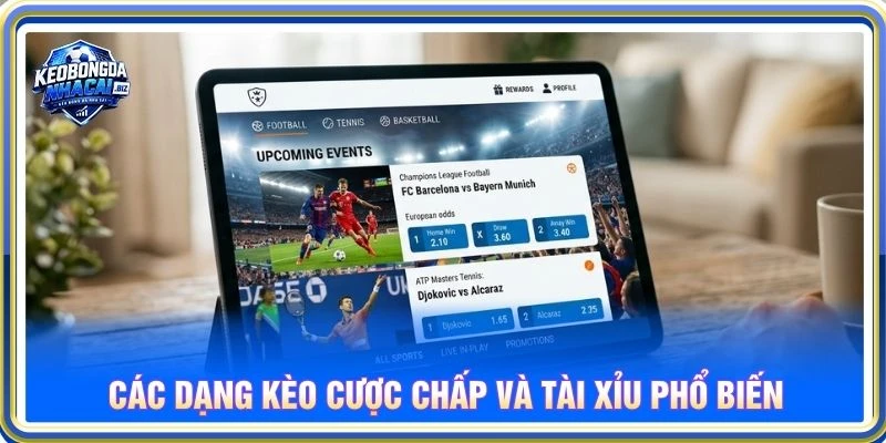 Các dạng kèo cược chấp và tài xỉu phổ biến