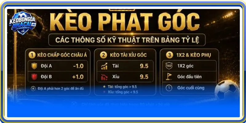 Cách tính tiền cược phạt góc là thông tin quan trọng mà người mới cần nắm