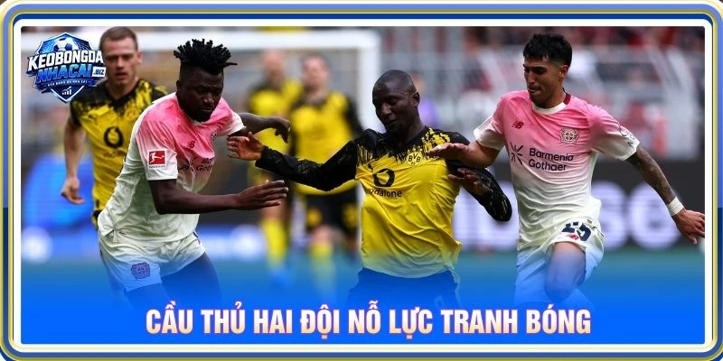 Cầu thủ hai đội nỗ lực tranh bóng