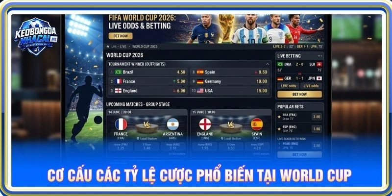 Cơ cấu các tỷ lệ cược phổ biến tại World Cup