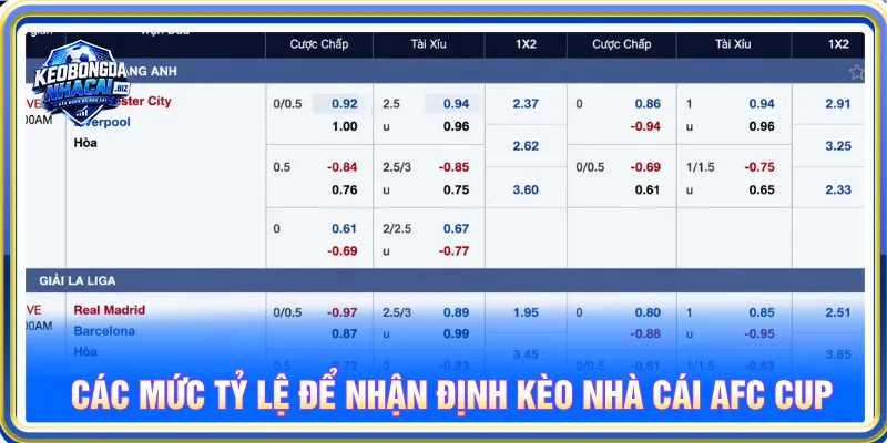 Đa dạng các hình thức soi kèo trực tuyến bóng đá hôm nay