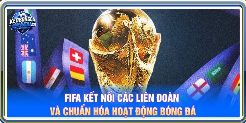 FIFA kết nối các liên đoàn và chuẩn hóa hoạt động bóng đá