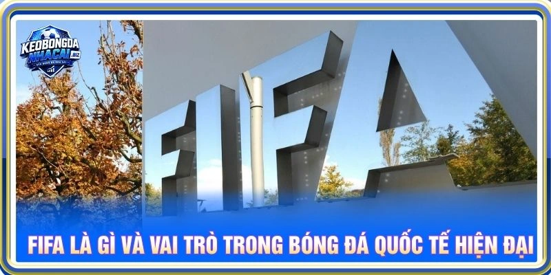FIFA là gì và vai trò trong bóng đá quốc tế hiện đại