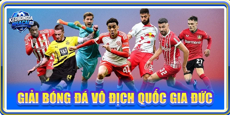 Giải Bóng Đá Vô Địch Quốc Gia Đức - Đỉnh Cao Châu Âu