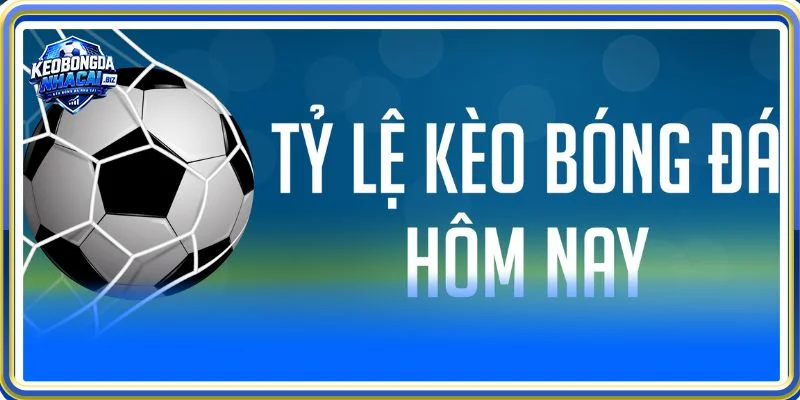 Giới thiệu keobongdanhacai.biz đem tới nhiều thông tin quan trọng đến người tham gia