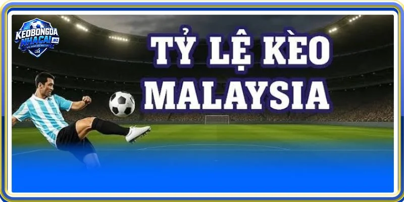Kèo Malaysia là dạng cược phổ biến hàng đầu hiện nay