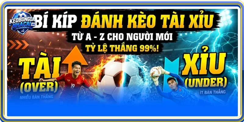 Kỹ thuật bắt kèo Over/Under đỉnh cao từ chuyên gia