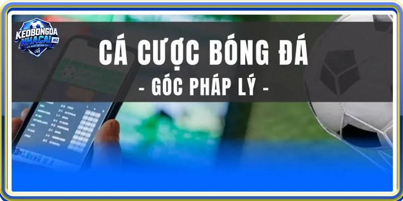Luật về cá độ bóng đá là thông tin mà rất nhiều bạn đọc quan tâm