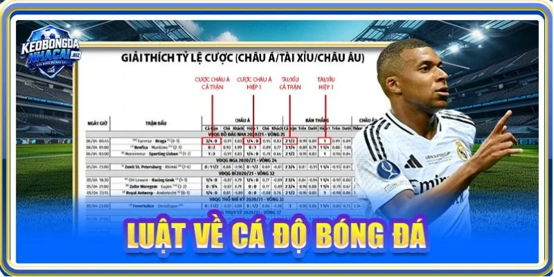 Luật Về Cá Độ Bóng Đá Tại Việt Nam Như Thế Nào? Mới 2026