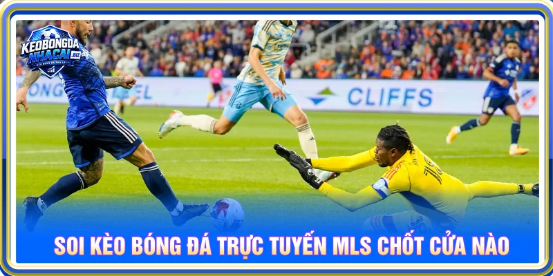 Nhận định kèo nhà cái bóng đá Mỹ qua những dữ liệu soi kèo cược
