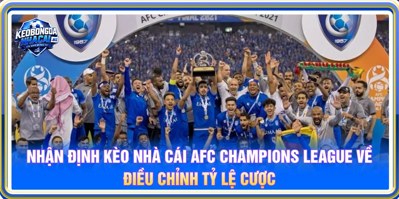 Phân tích các điều chỉnh về tỷ lệ cược nhận định hiệu quả