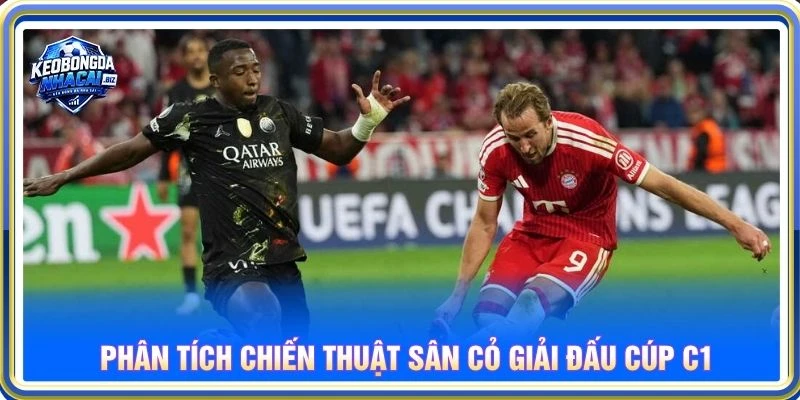 Phân tích chiến thuật sân cỏ giải đấu cúp C1