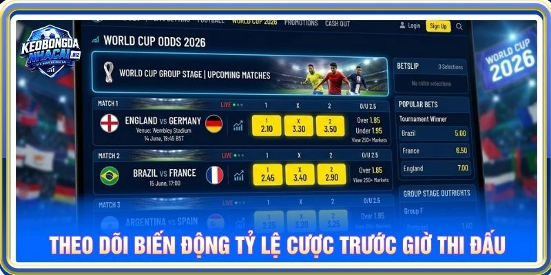 Theo dõi biến động tỷ lệ cược trước giờ thi đấu