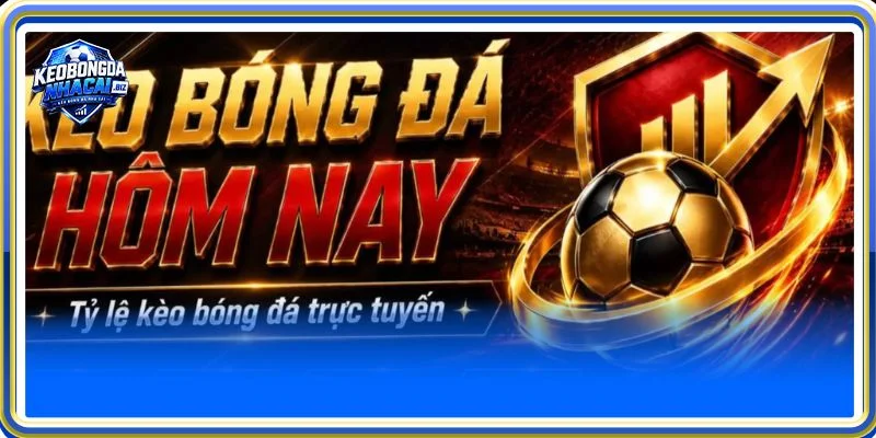 Trang tin cung cấp đa dạng loại kèo bóng đá trực tuyến đến người chơi
