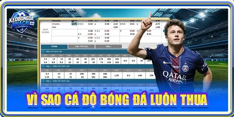 Giải Mã: Vì Sao Cá Độ Bóng Đá Luôn Thua Từ Chuyên Gia
