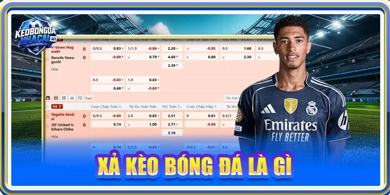 Xả Kèo Bóng Đá Là Gì? 5 Kinh Nghiệm Xả Kèo Khôn Khéo